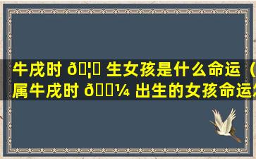 牛戌时 🦍 生女孩是什么命运（属牛戌时 🐼 出生的女孩命运怎么样）